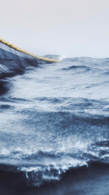 New large order for DSI Dantech