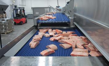 Cryogenic freezing of fish and seafood