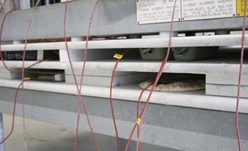 Test freezing in plate freezer